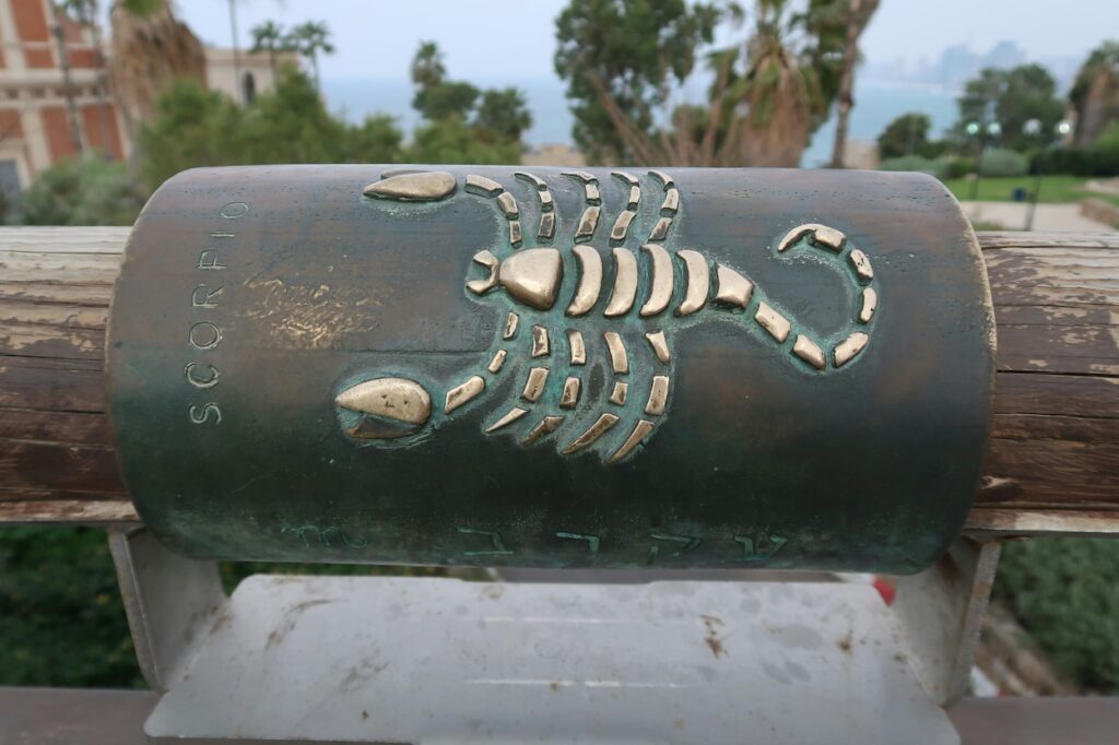 Twin Flame South Node North Node Astrology
